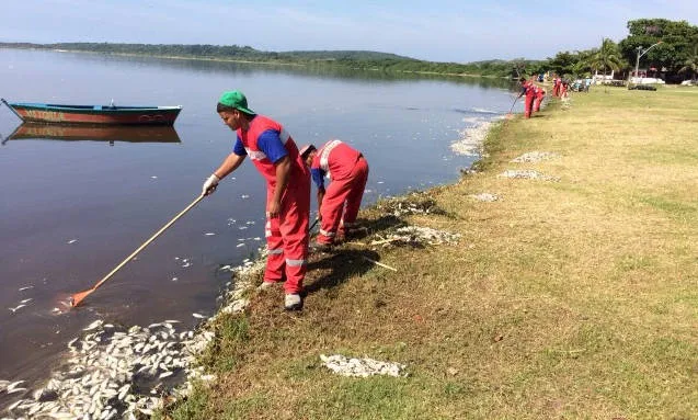 Equipes recolheram peixes mortos de vários pontos das lagoas