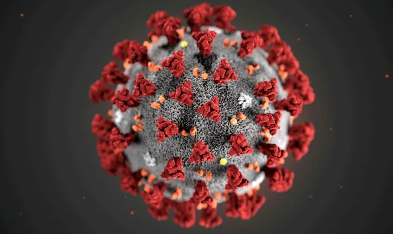 O Brasil identificou a primeira contaminação pelo novo coronavírus no final de fevereiro de 2020