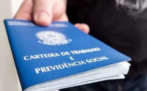 O sistema realiza uma análise comparativa do perfil profissional de cada candidato 