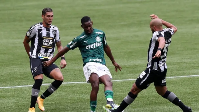 Imagem ilustrativa da imagem Botafogo empata com reservas do Palmeiras e pode cair na próxima rodada
