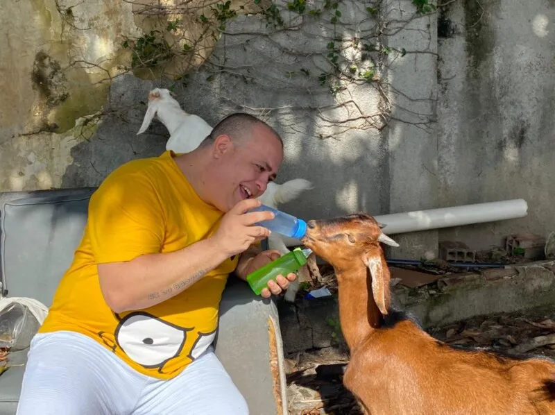 Imagem ilustrativa da imagem Humorista adota casal de bode e cabra como animais de estimação