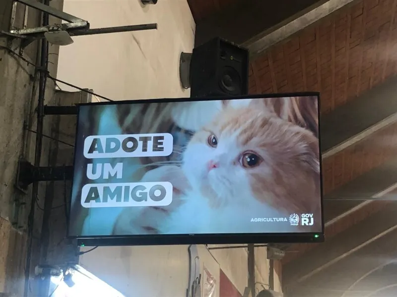 Campanha surgiu através de parceria