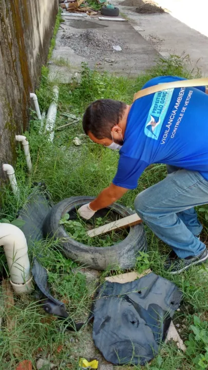 As denúncias podem ser feitas pelo telefone da Vigilância Ambiental