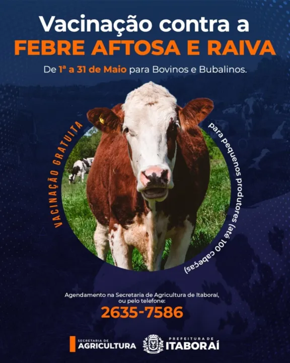 Imagem ilustrativa da imagem Itaboraí inicia vacinação contra Febre Aftosa e Raiva para bovinos e bubalinos