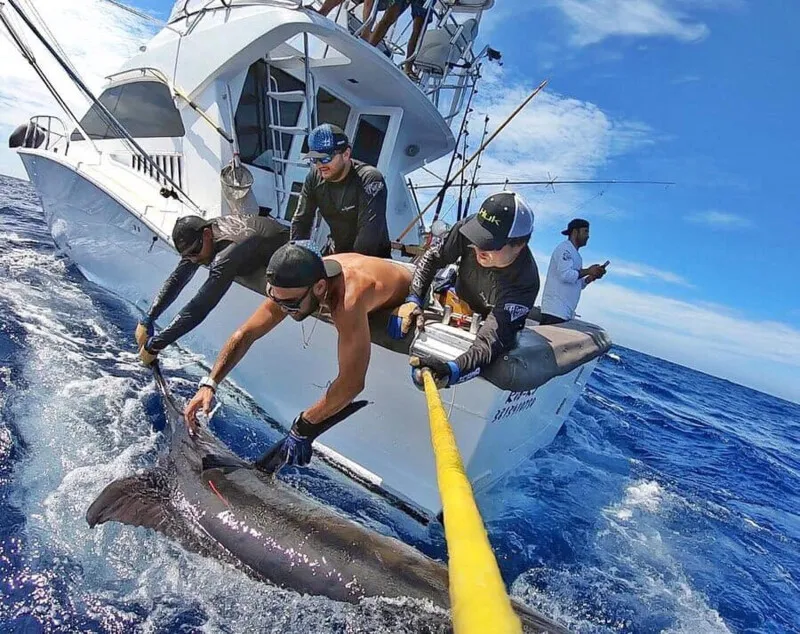 Torneio de pesca esportiva é um dos mais representativos do setor e acontecerá neste fim de semana