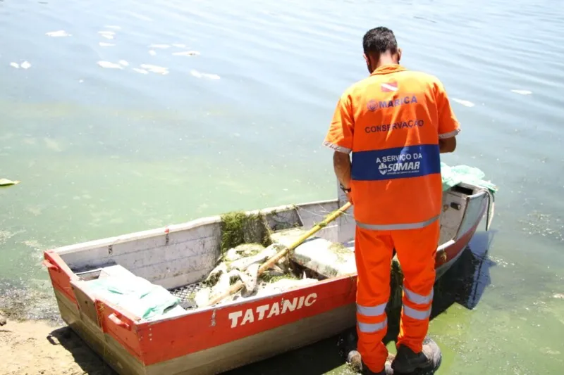 Imagem ilustrativa da imagem Maricá retira 3 toneladas de peixes mortos de lagoas