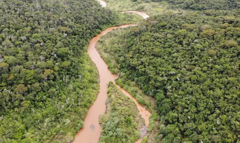 Área reflorestada pela Fundação Renova