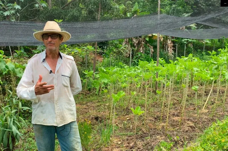Imagem ilustrativa da imagem Governo do Estado vai ajudar agricultores familiares a fornecer merenda para rede pública