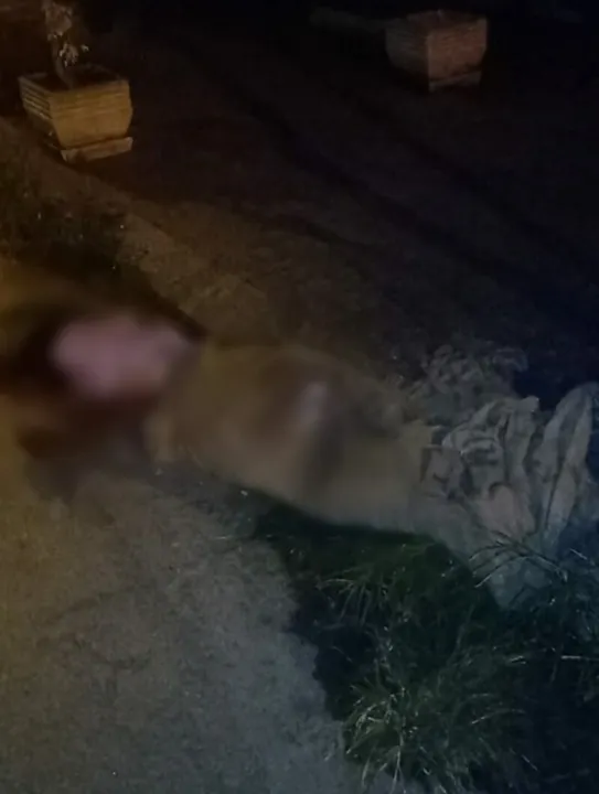 vítima foi espancada e morta com um tiro na cabeça