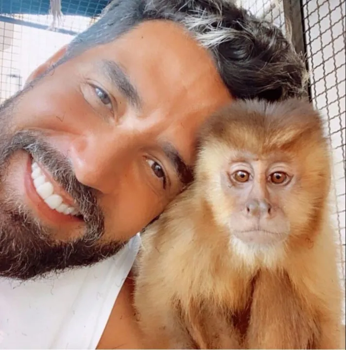 O animal morreu atropelado