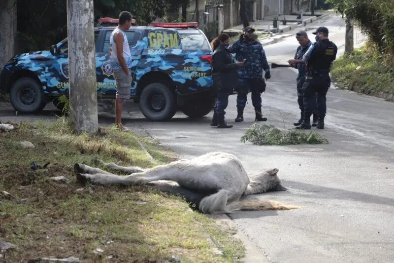 Via foi parcialmente fechada