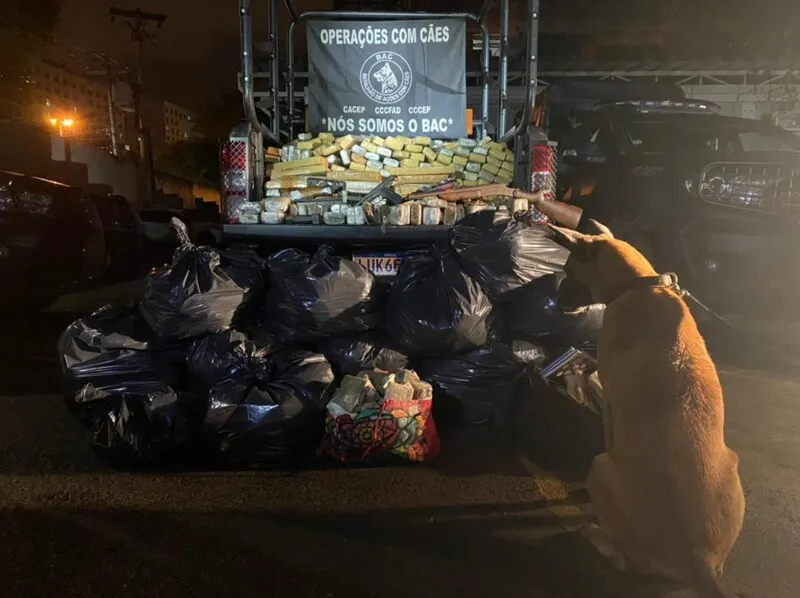 Cadela da PM encontrou mais de uma tonelada de drogas nesta quinta-feira (13)
