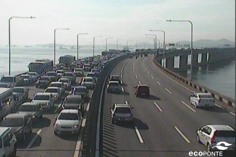 A Ecoponte destacou ainda que o cachorro não se feriu