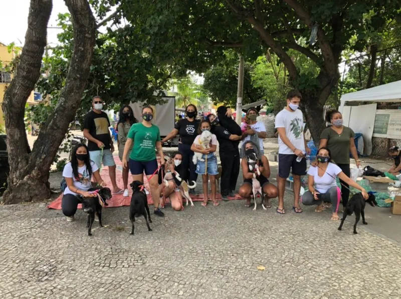O projeto @ajudapatas da Maré, vem promovendo encontro com animais abandonados resgatados.