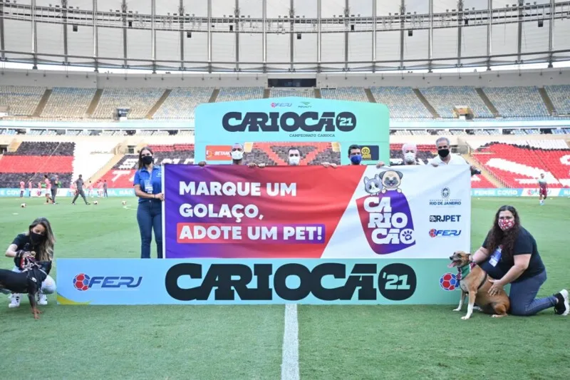 A iniciativa, batizada de ‘CarioCão’, foi idealizada pela Subsecretaria de Proteção e Bem-Estar Animal (RJPet).
