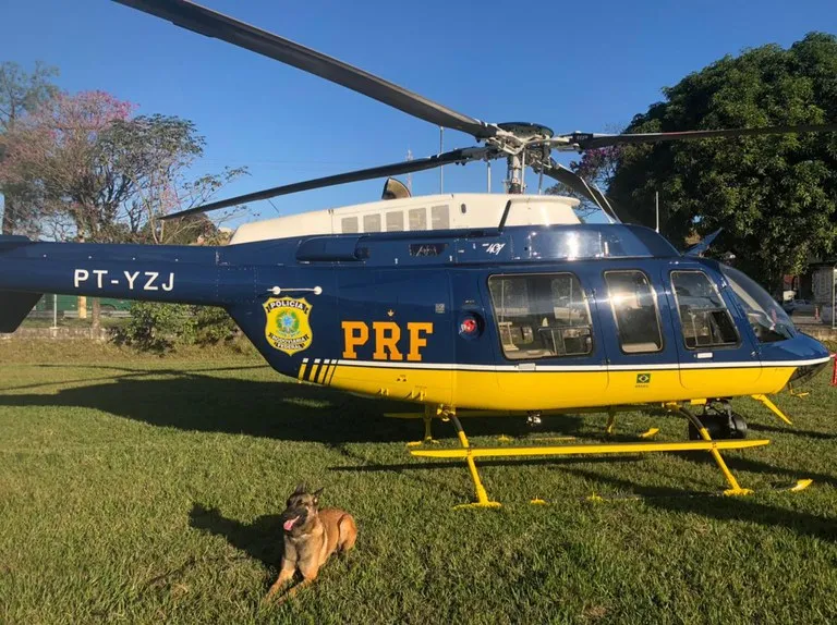 Os ilícitos seriam utilizados por milicianos que dominam áreas conflagradas na Zona Oeste do Rio.