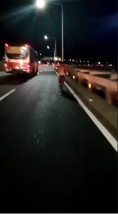 Ciclista foi flagrado na
Ponte Rio-Niterói