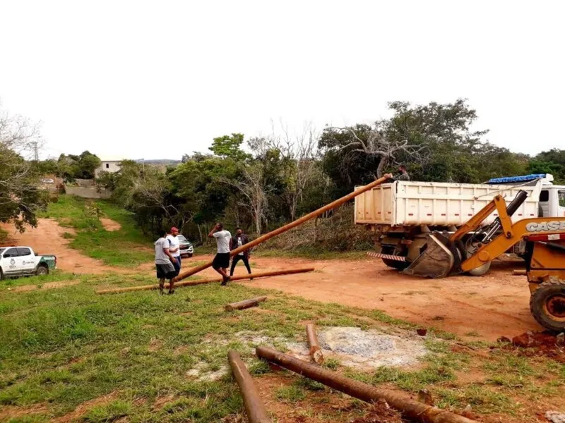 Operação foi realizada por fiscais de meio ambiente, em parceria com a PM