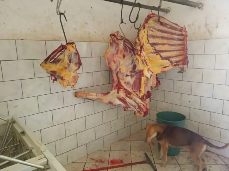 Imagem ilustrativa da imagem Cerca de 200 kg de produtos irregulares a saúde são apreendidos pela Operação Boi Garantido