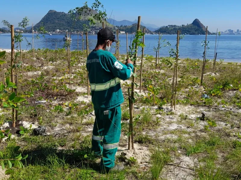  O trabalho, que vai durar 15 dias, começou com a supressão de plantas exóticas.