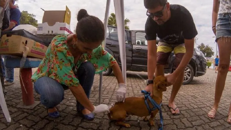 Imagem ilustrativa da imagem Começa hoje (27) campanha de vacinação antirrábica em Maricá