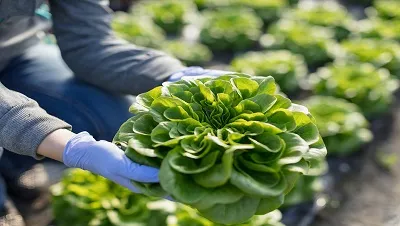 Evento mostra principais tendências do setor de alimentação e gastronomia