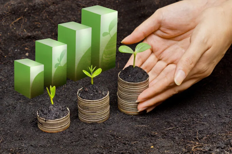 Imagem ilustrativa da imagem Espaço BB tem programação de palestras gratuitas e online sobre investimento sustentável