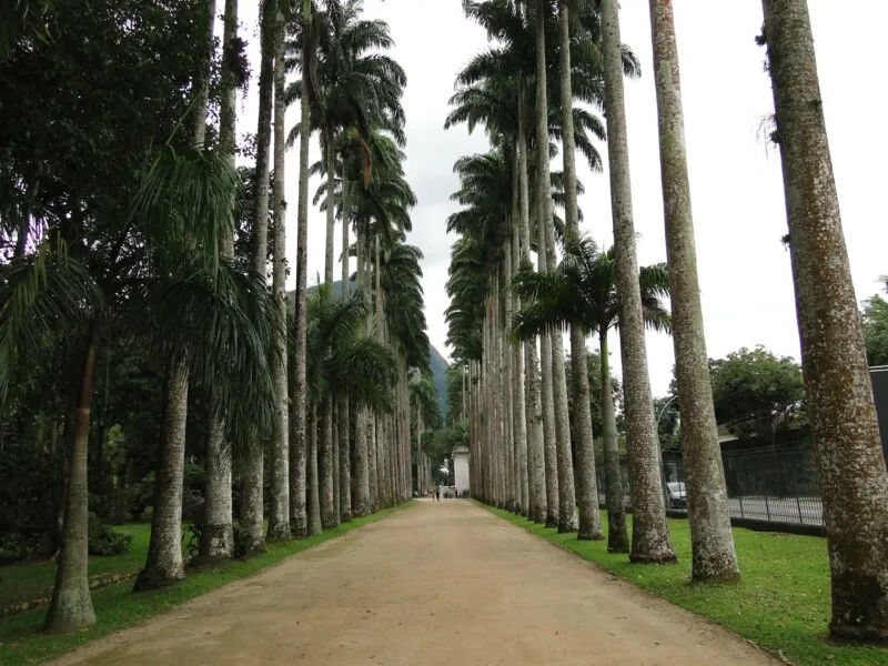 Jardim Botânica é reaberto à visitação