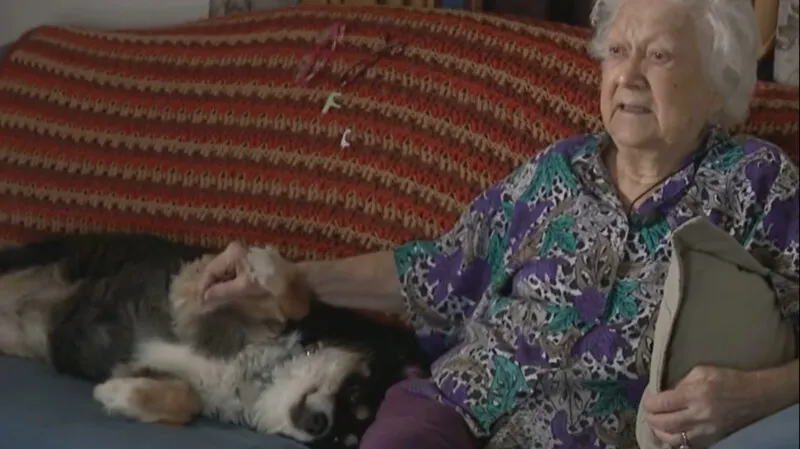 Agora, Lulu pode ter tudo do bom e do melhor durante seus próximos anos de vida