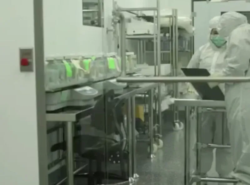 Estudo afirma que o tratamento pode neutralizar as novas variantes