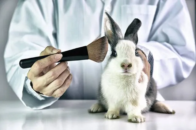 Imagem ilustrativa da imagem STF valida Lei Estadual que proíbe testes em animais por indústrias de cosméticos, higiene e limpeza
