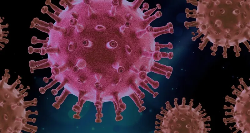 Ainda não se sabe a forma que ela foi contaminada