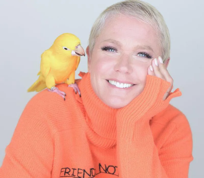 Imagem ilustrativa da imagem Xuxa diz ser a favor de testes de vacinas em presidiários e não em animais