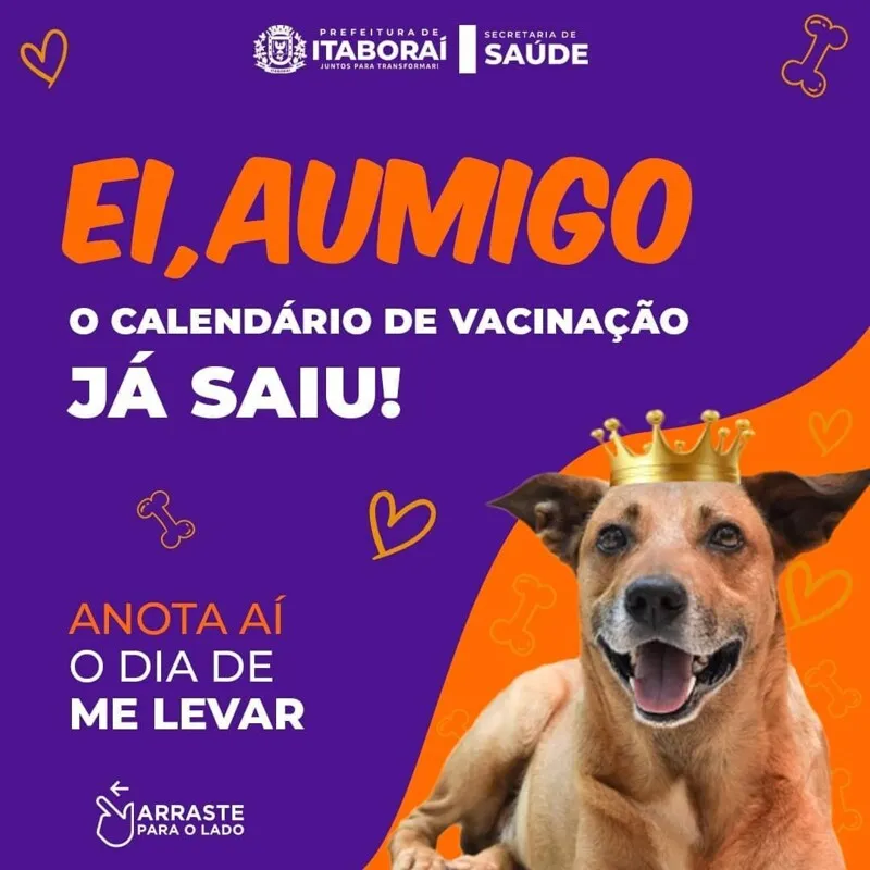 Vacinação de cães e gatos contra o vírus da raiva, em Itaboraí, se divide em etapas 