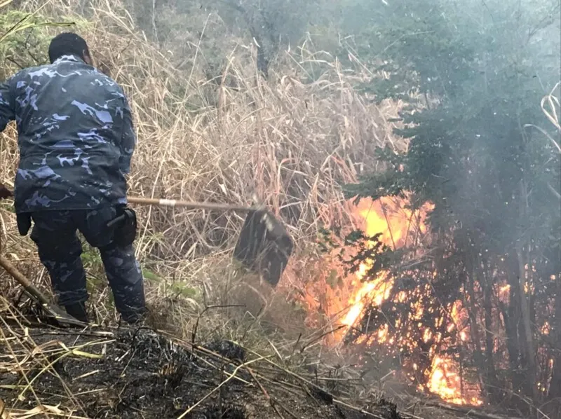 Incêndio atingiu a APA Estâncias de Pendotiba, no bairro Maria Paula
