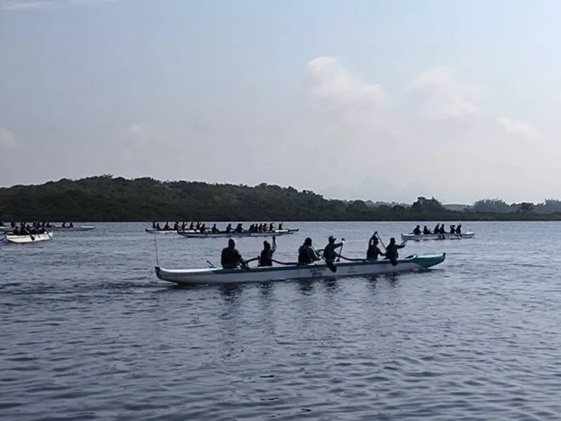 O Campeonato conta com aproximadamente 500 remadores de diferentes municípios, como Búzios, Cabo Frio, Rio das Ostras, Araruama São Pedro, Campos e Macaé