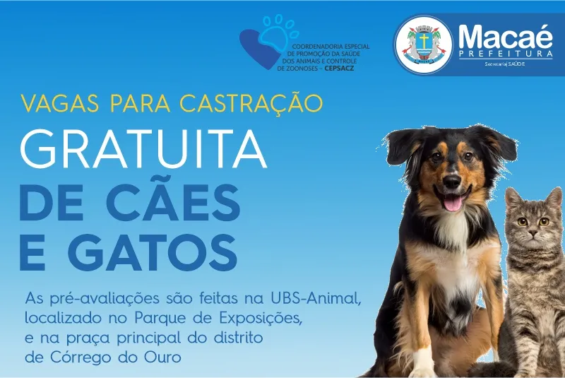 Para estar apto à castração, o animal precisa ter ao menos 6 meses de idade