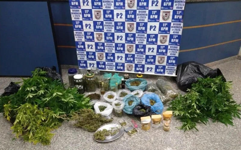 Pés de maconha também foram apreendidos