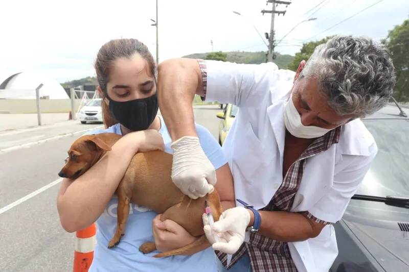Vacinação antirrábica acontece neste sábado (2) em Niterói