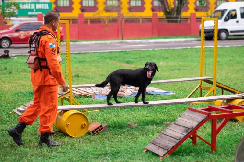 Cães do Corpo de Bombeiros do Estado do Rio foram premiados