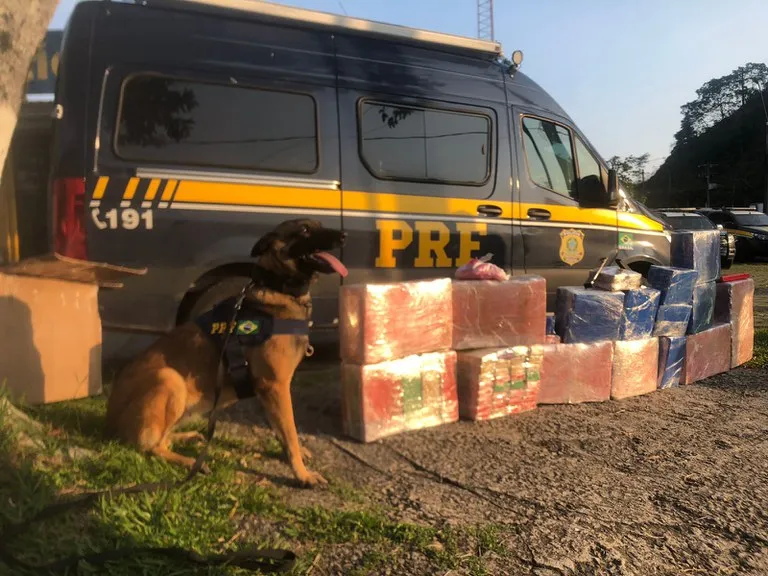 Carregamento de drogas foi apreendido pela Polícia Rodoviária Federal 