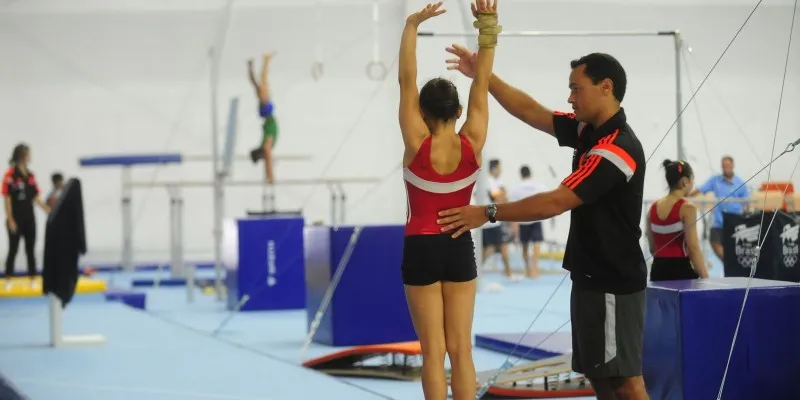 Ao todo, são cinco categorias para atletas e paratletas