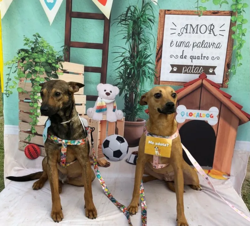 Evento acontece na Zona Oeste do Rio 