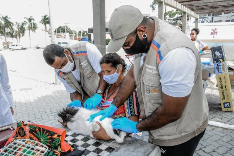 Vacinação antirrábica percorre em Itaboraí no mês de outubro