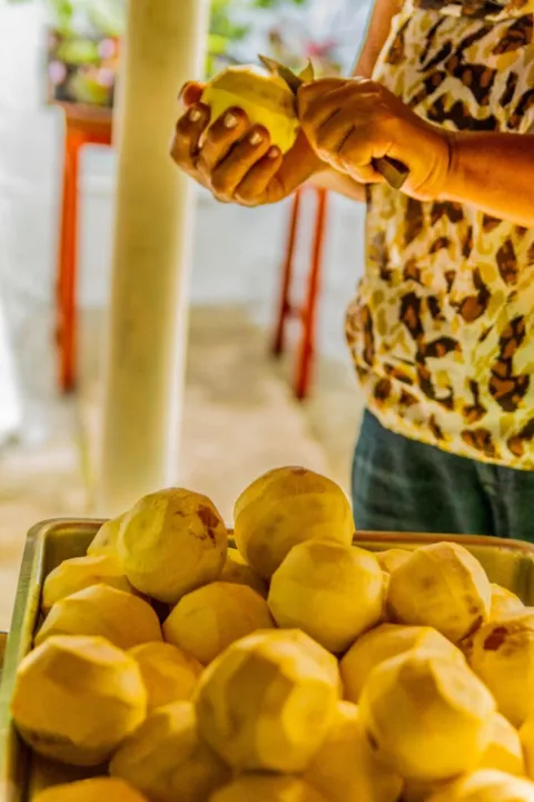 Feira deve acontecer todos os sábados 