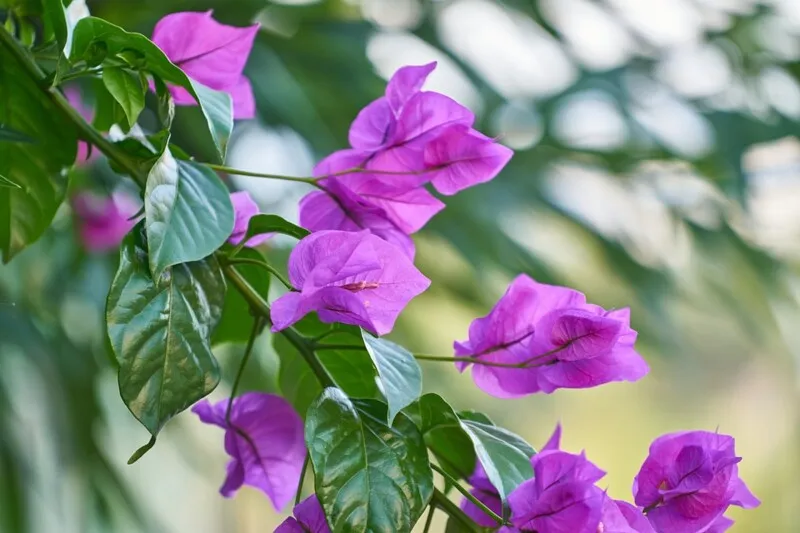 O tempo em Niterói e São Gonçalo irá mudar 