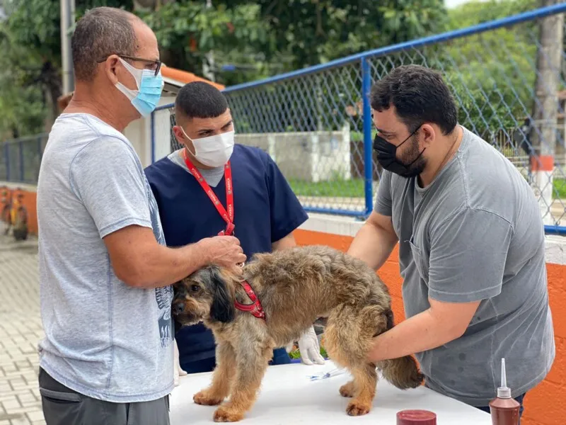Das mais de 340 vagas disponíveis, cerca de 160 animais entre cães e gatos já estão triados e aptos para a castração 