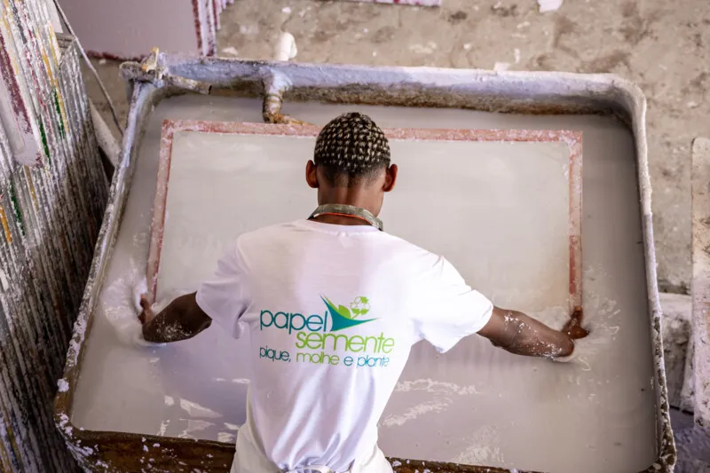 Fábrica Papel Semente