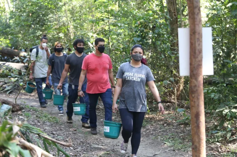 Até o fim do ano, 10 hectares do Parnit serão reflorestados com a palmeira.
