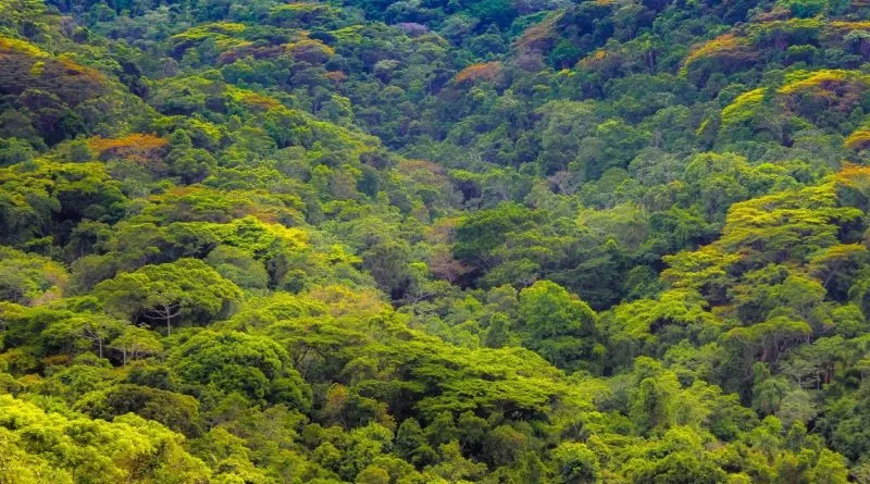 Nature - E seus Atributos